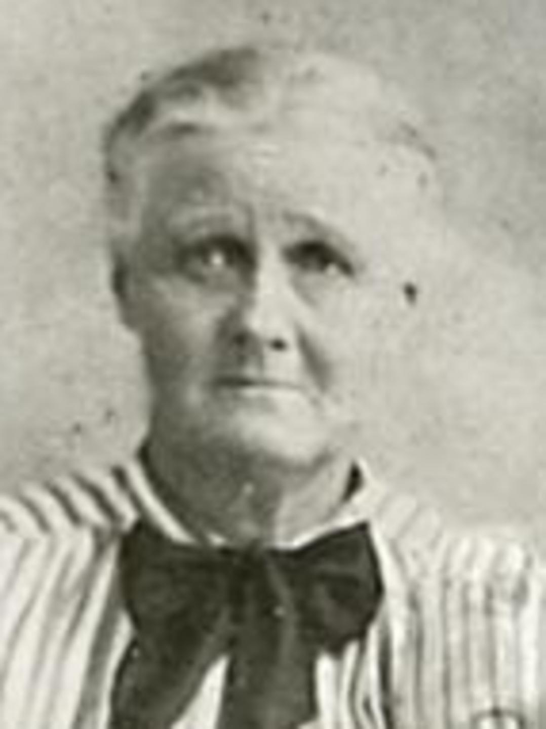 Maria Driggs (1846 - 1925) Profile